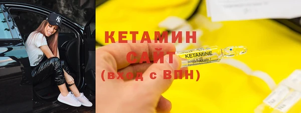 сатива Абинск