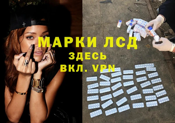 сатива Абинск