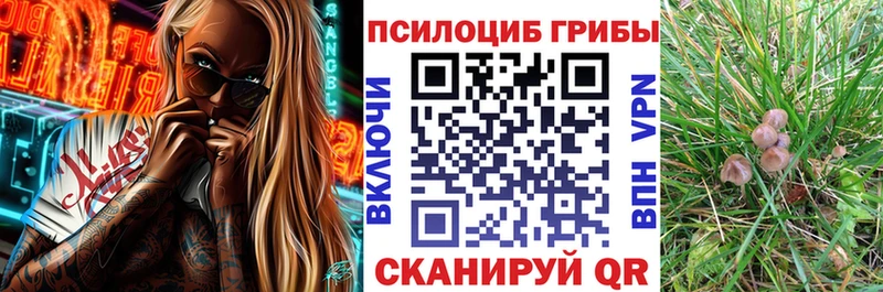 Псилоцибиновые грибы ЛСД  купить  цена  Фатеж 