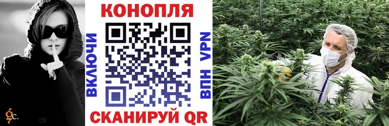 Каннабис OG Kush Фатеж